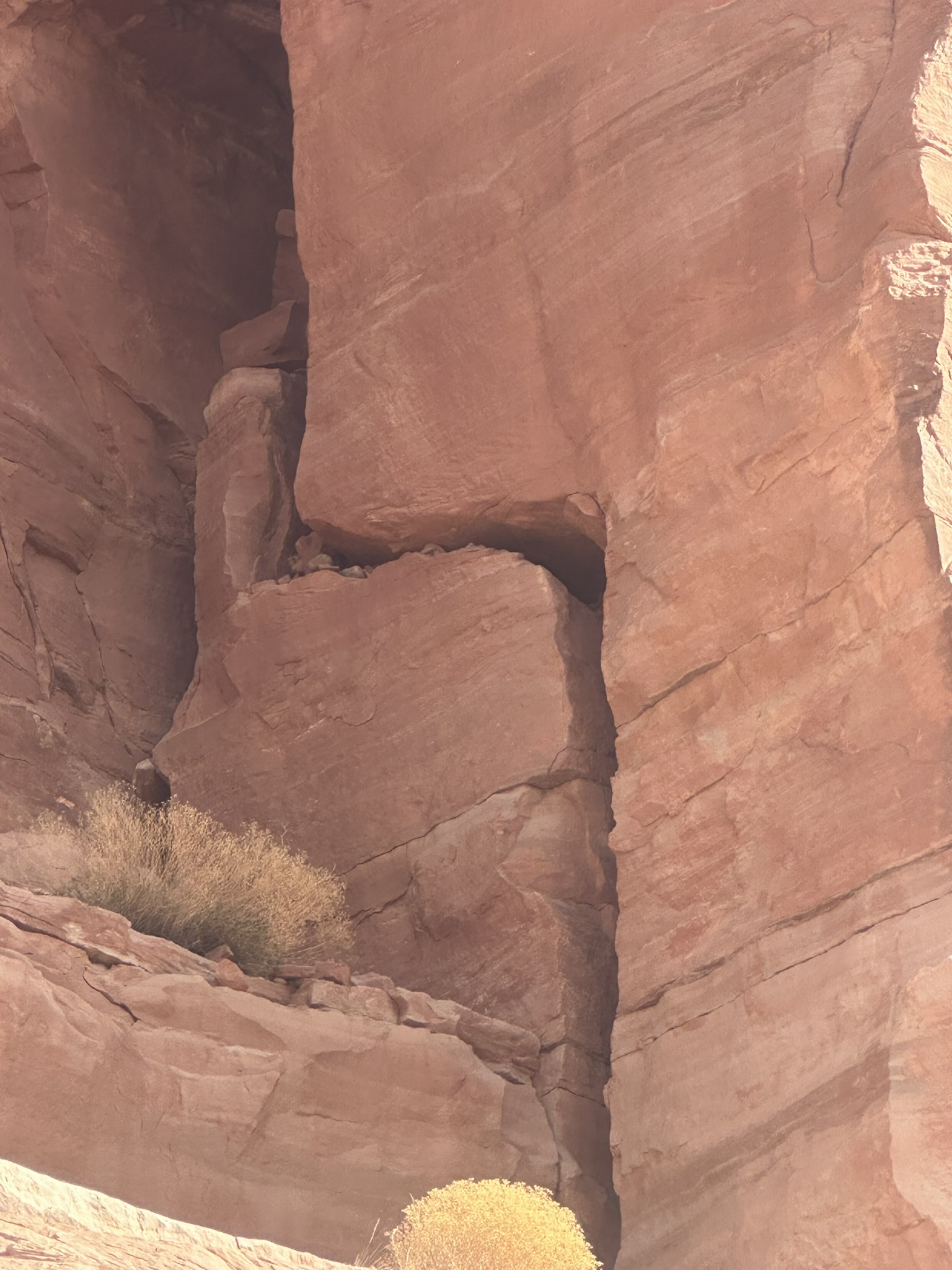 United States-National Parks-Other - Image 1055
